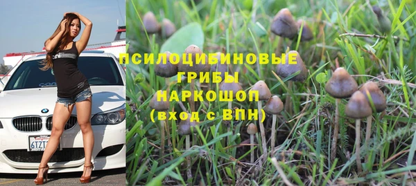 apvp Ельня