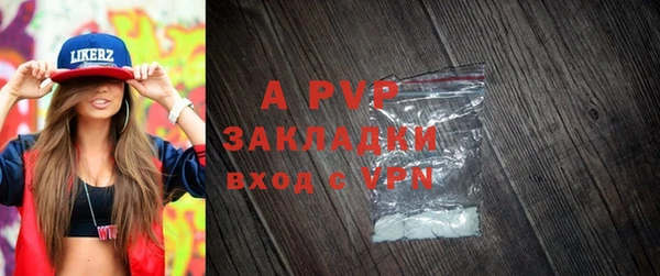 apvp Ельня