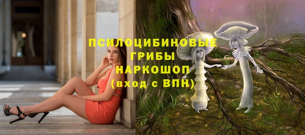 мяу мяу мука Елизово