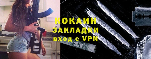 дживик Анива