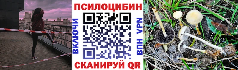 Галлюциногенные грибы Magic Shrooms маркетплейс клад Дмитровск что такое наркотик